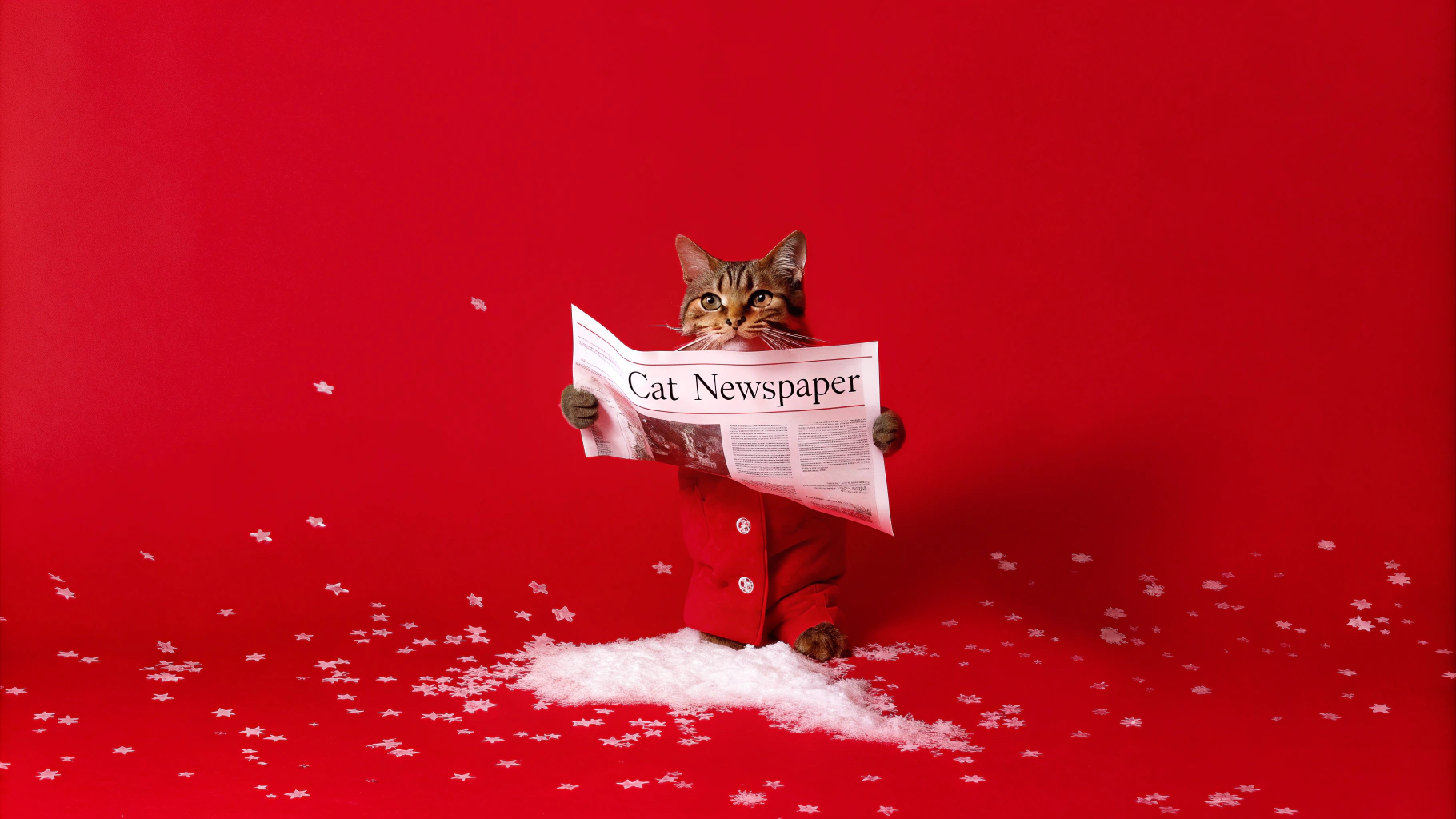 AI generated image by Red Panda AI: Cat wearing coat in snow reading newspaper
